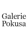 Galerie Pokusa Wiesbaden