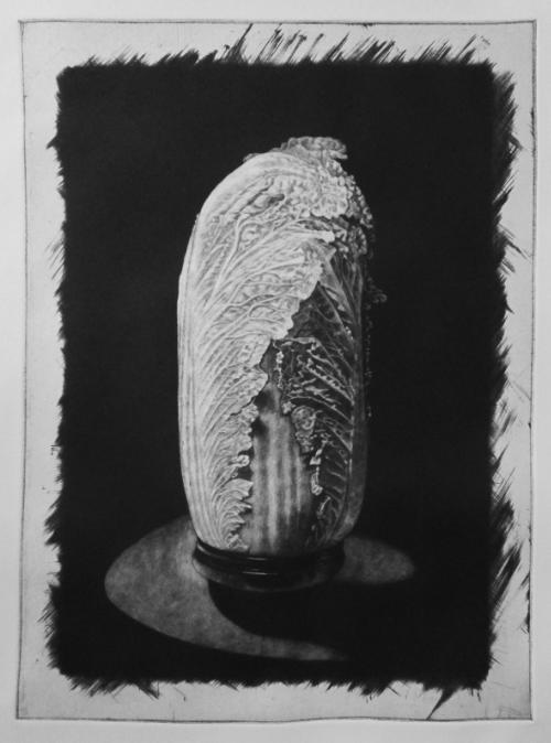 Christopher Nowicki