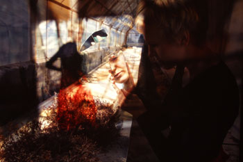 Einen Moment bitte ...